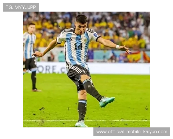 恩佐组织能力再升级，阿根廷中场稳定性增强