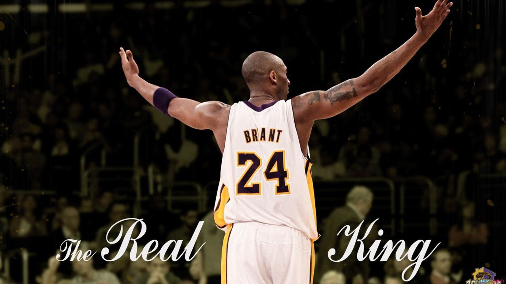 ky体育竞猜-青少年篮球“追梦之旅”系列公益广告引发广泛关注，篮球追逐梦